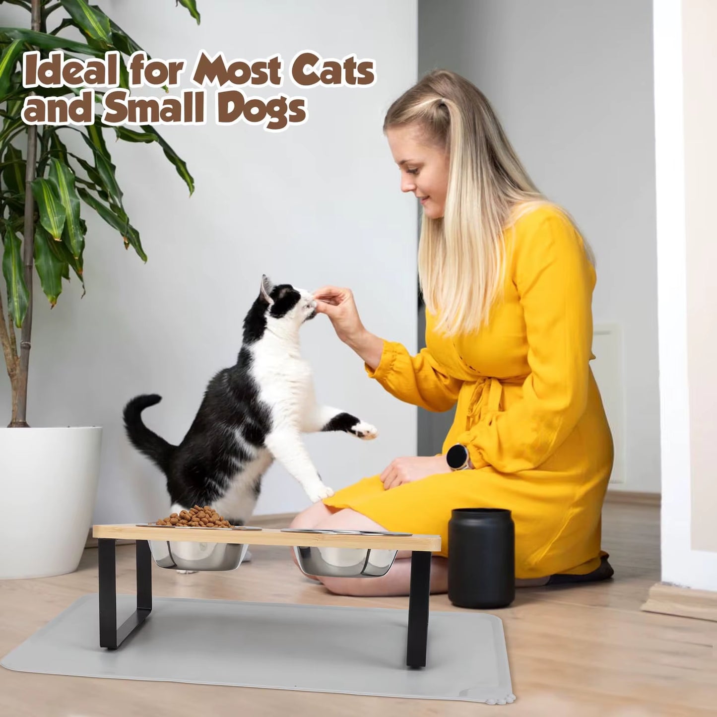 cat bowl raised