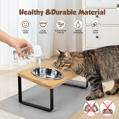 cat bowl raised
