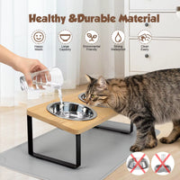 cat bowl raised